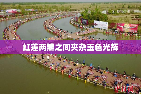 红莲两瓣之间夹杂玉色光辉
