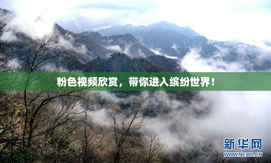 粉色视频欣赏，带你进入缤纷世界！