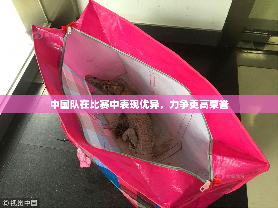 中国队在比赛中表现优异，力争更高荣誉