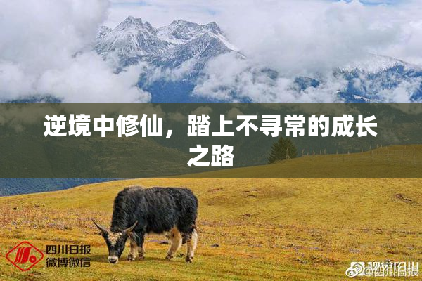 逆境中修仙，踏上不寻常的成长之路