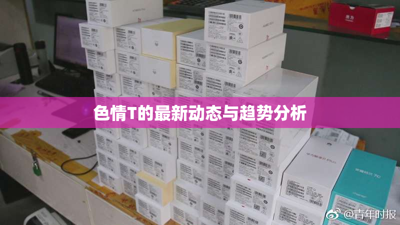 色情T的最新动态与趋势分析