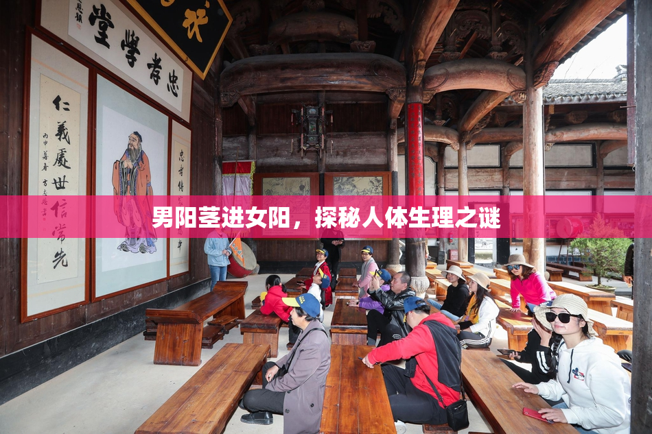 男阳茎进女阳，探秘人体生理之谜