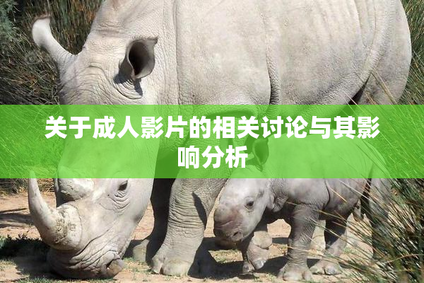 关于成人影片的相关讨论与其影响分析