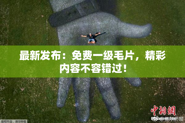 最新发布：免费一级毛片，精彩内容不容错过！