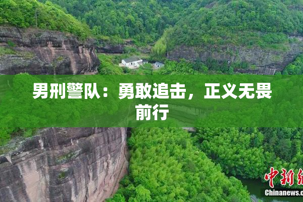 男刑警队：勇敢追击，正义无畏前行