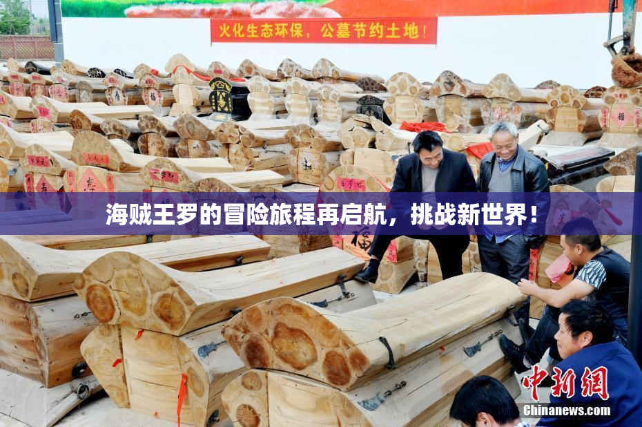 海贼王罗的冒险旅程再启航，挑战新世界！