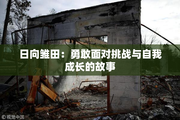 日向雏田：勇敢面对挑战与自我成长的故事