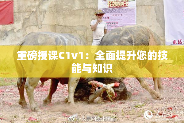 重磅授课C1v1：全面提升您的技能与知识