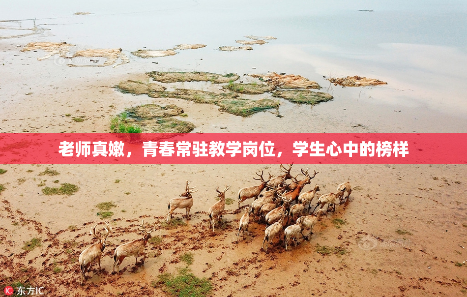 老师真嫩，青春常驻教学岗位，学生心中的榜样