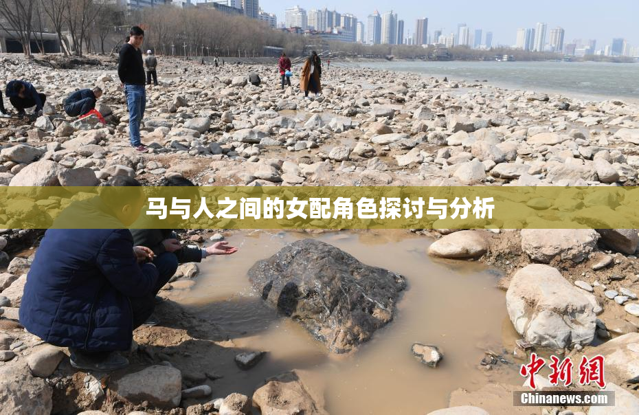 马与人之间的女配角色探讨与分析