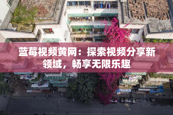 蓝莓视频黄网：探索视频分享新领域，畅享无限乐趣