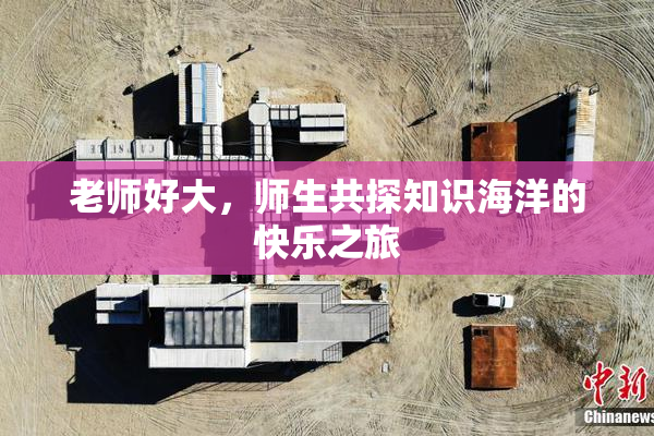 老师好大，师生共探知识海洋的快乐之旅