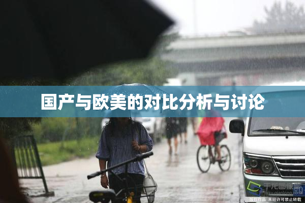 国产与欧美的对比分析与讨论