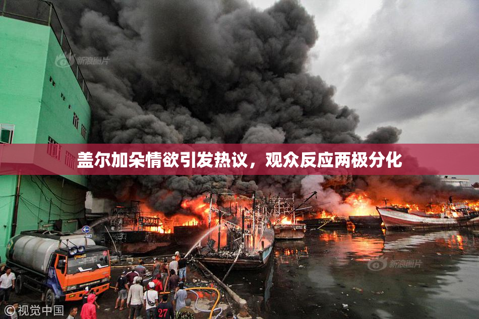 盖尔加朵情欲引发热议，观众反应两极分化