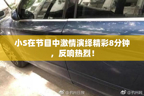 小S在节目中激情演绎精彩8分钟，反响热烈！