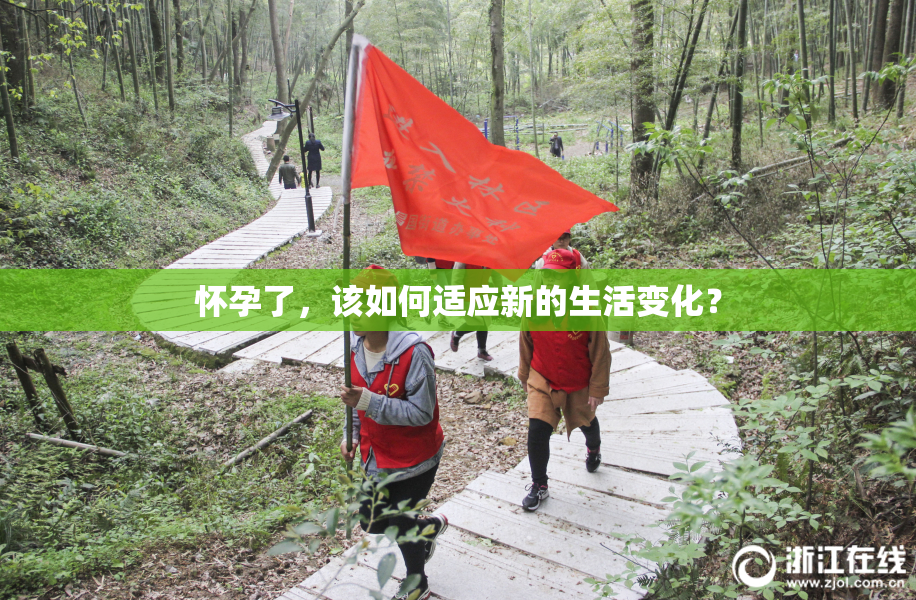 怀孕了，该如何适应新的生活变化？