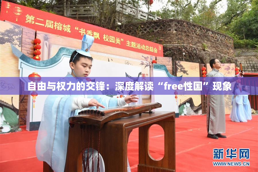 自由与权力的交锋：深度解读“free性国”现象