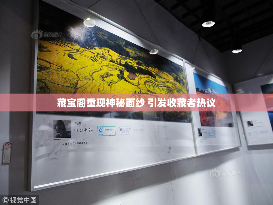 藏宝阁重现神秘面纱 引发收藏者热议