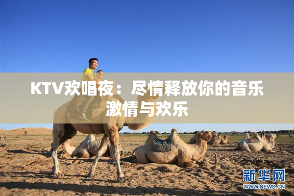 KTV欢唱夜：尽情释放你的音乐激情与欢乐