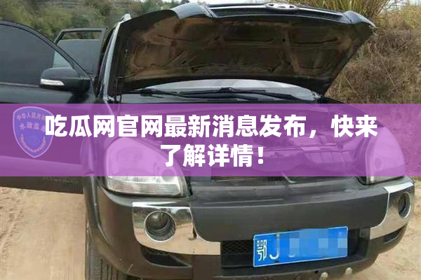 吃瓜网官网最新消息发布，快来了解详情！