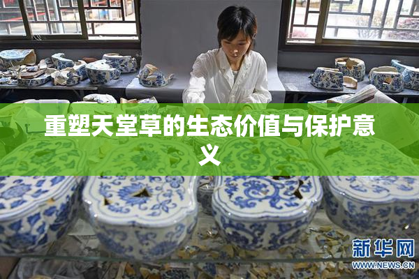 重塑天堂草的生态价值与保护意义