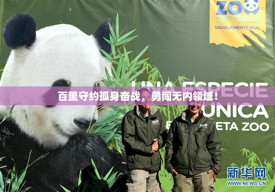 百里守约孤身奋战，勇闯无内领域！