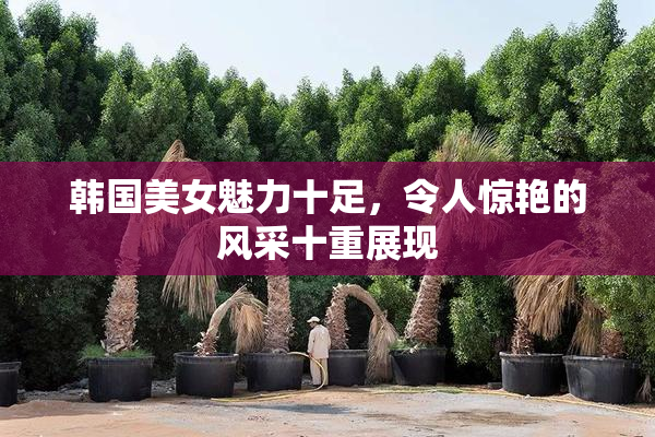 韩国美女魅力十足，令人惊艳的风采十重展现