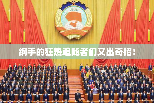 纲手的狂热追随者们又出奇招！