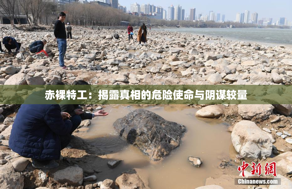 赤裸特工：揭露真相的危险使命与阴谋较量