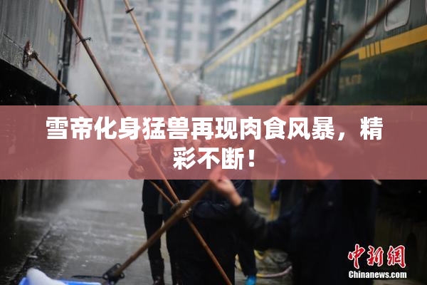 雪帝化身猛兽再现肉食风暴，精彩不断！
