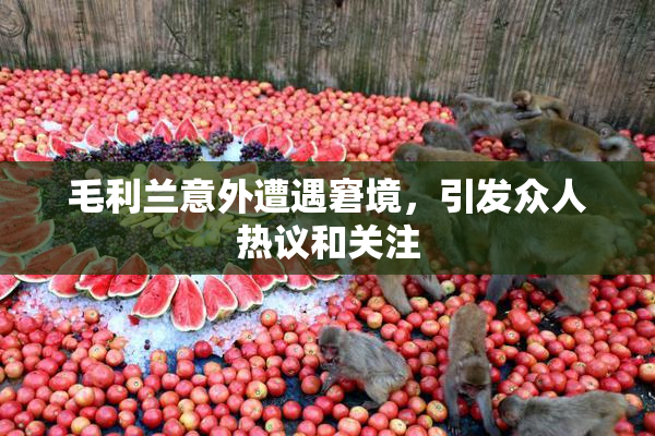 毛利兰意外遭遇窘境，引发众人热议和关注