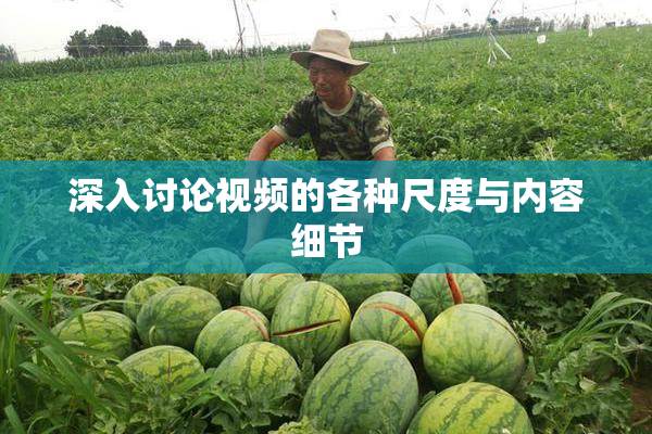 深入讨论视频的各种尺度与内容细节