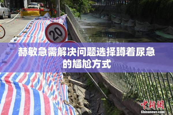 赫敏急需解决问题选择蹲着尿急的尴尬方式
