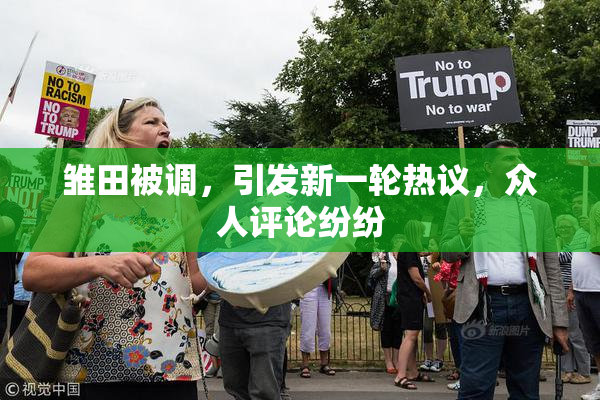 雏田被调，引发新一轮热议，众人评论纷纷