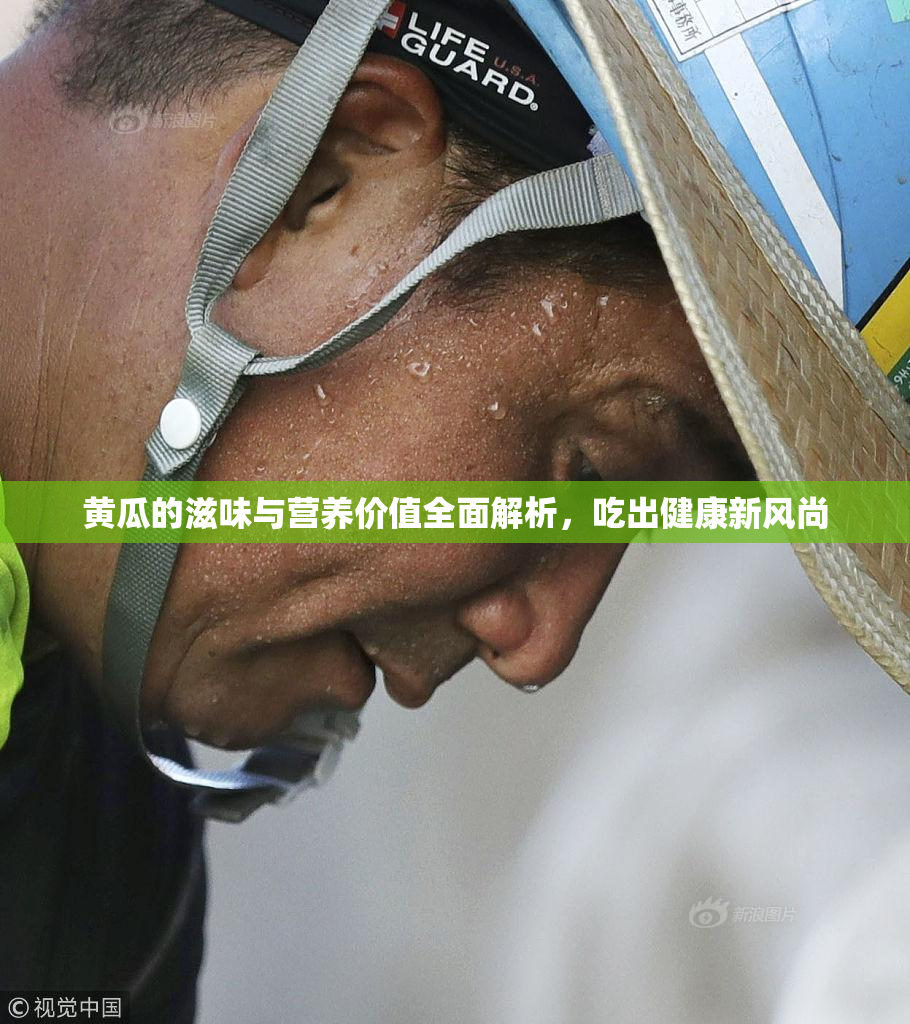 黄瓜的滋味与营养价值全面解析，吃出健康新风尚