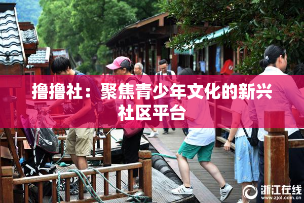 撸撸社：聚焦青少年文化的新兴社区平台