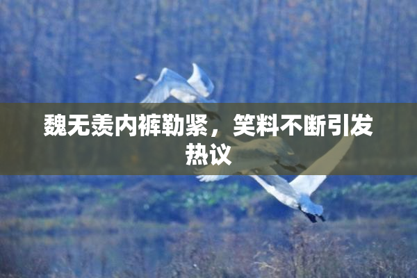 魏无羡内裤勒紧，笑料不断引发热议