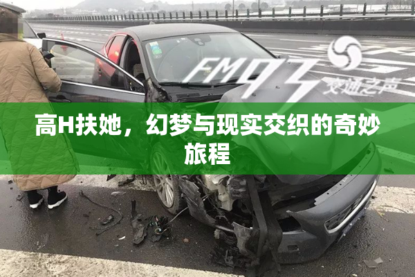 高H扶她，幻梦与现实交织的奇妙旅程