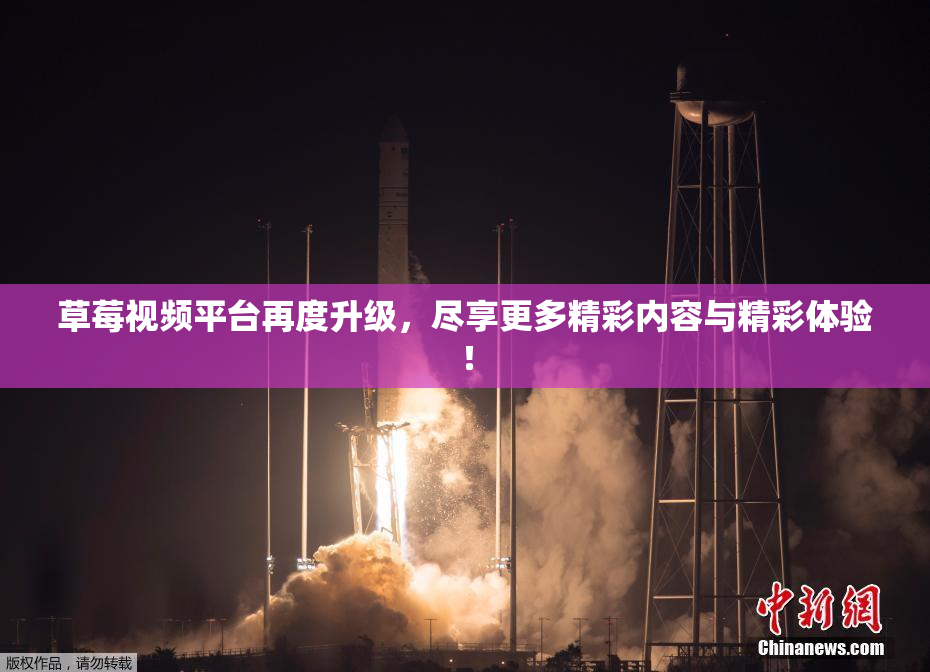 草莓视频平台再度升级，尽享更多精彩内容与精彩体验！