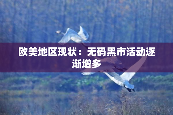 欧美地区现状：无码黑市活动逐渐增多