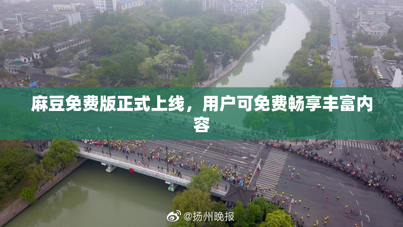 麻豆免费版正式上线，用户可免费畅享丰富内容