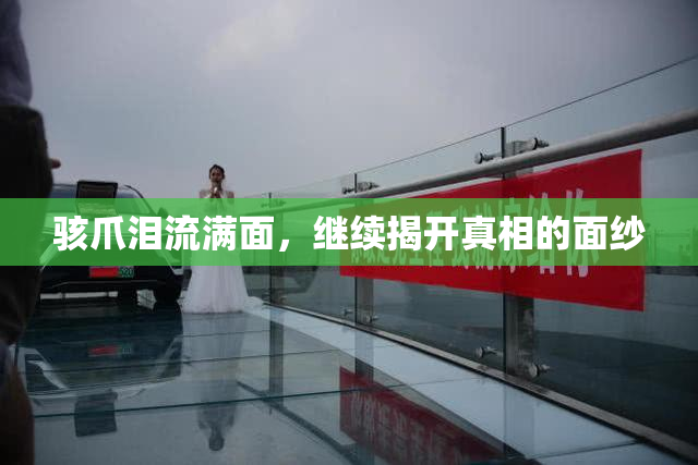 骇爪泪流满面，继续揭开真相的面纱