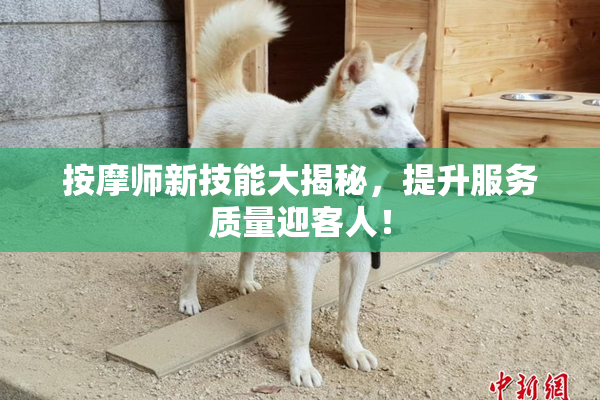 按摩师新技能大揭秘，提升服务质量迎客人！