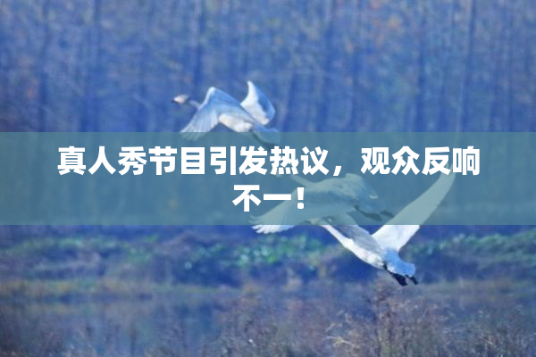 真人秀节目引发热议，观众反响不一！