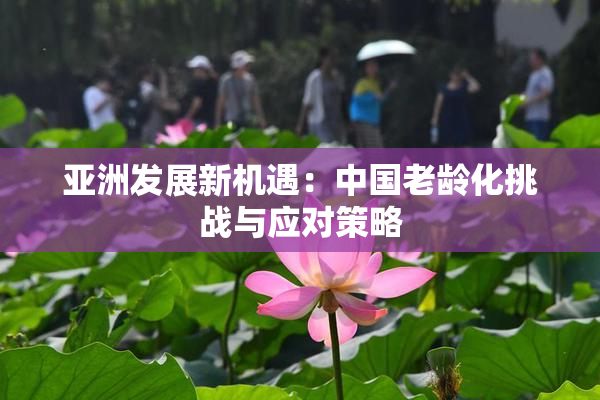 亚洲发展新机遇：中国老龄化挑战与应对策略