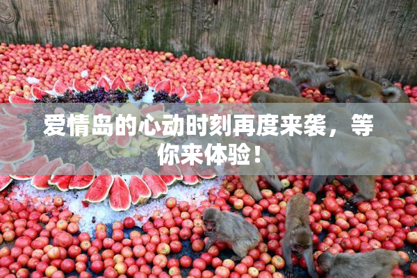 爱情岛的心动时刻再度来袭，等你来体验！