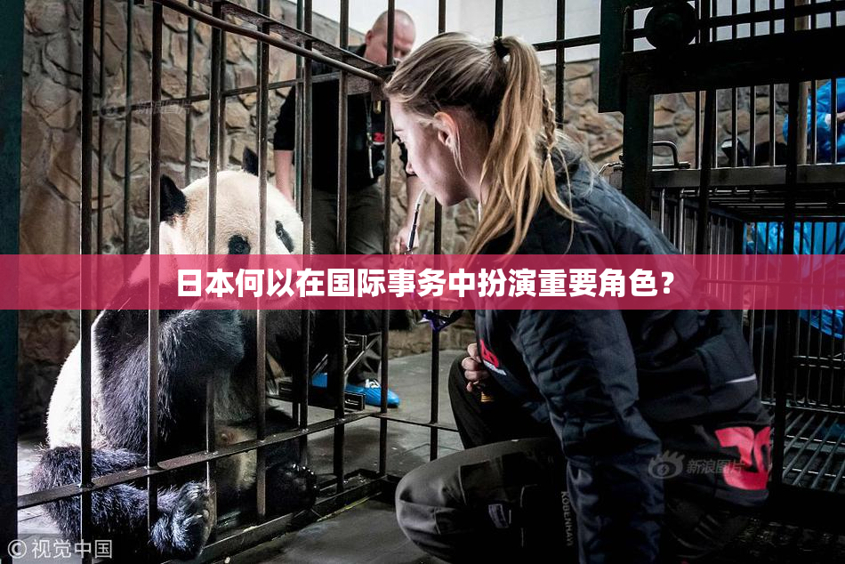 日本何以在国际事务中扮演重要角色？