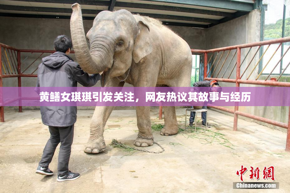 黄鳝女琪琪引发关注，网友热议其故事与经历