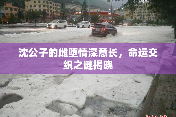 沈公子的雌堕情深意长，命运交织之谜揭晓