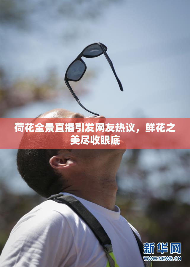 荷花全景直播引发网友热议，鲜花之美尽收眼底